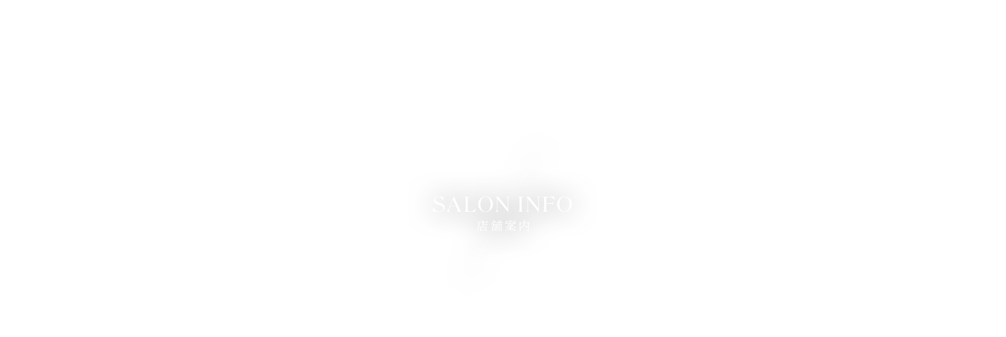 SALON INFO